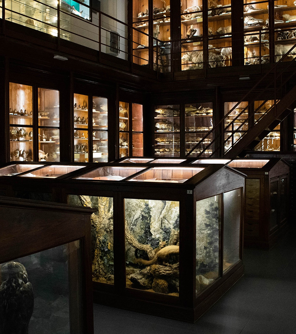 Museums